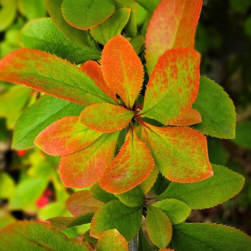 Photo #14083195