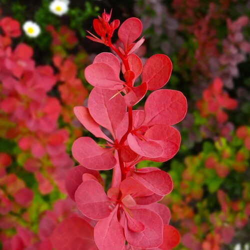 Photo #14083205
