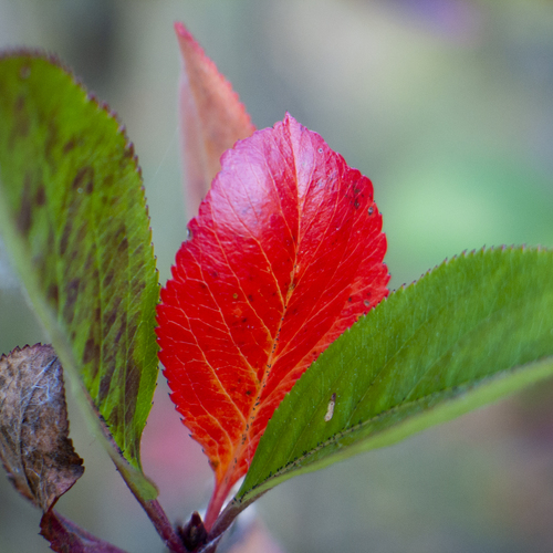 Photo #14083296