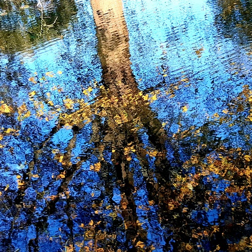 Photo #14083300