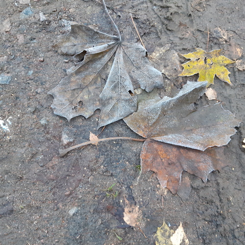 Photo #14083302