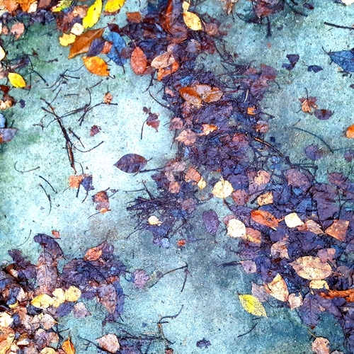 Photo #14083305