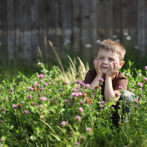 Photo #14083316