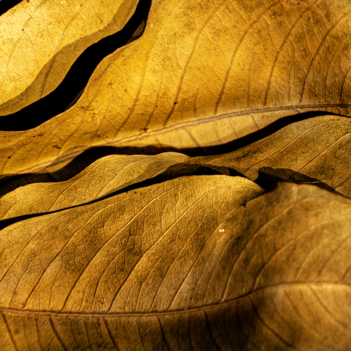 Photo #14083386