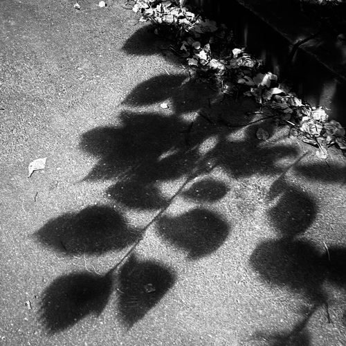 Photo #14083427