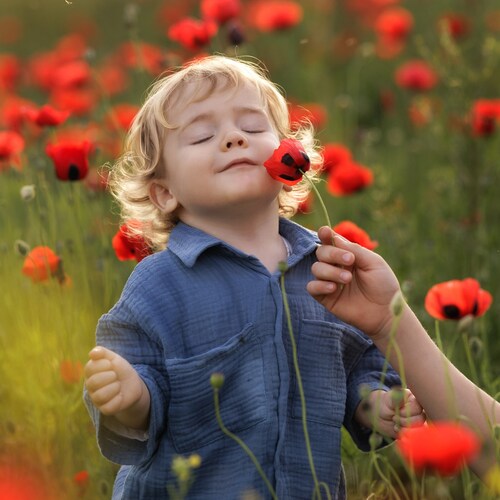 Фотография #14083460