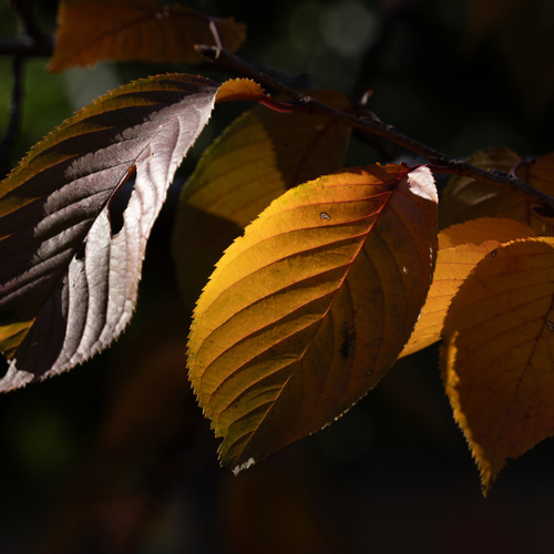 Photo #14083464