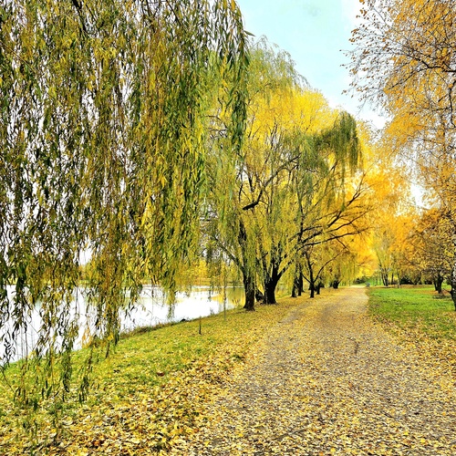 Photo #14083467