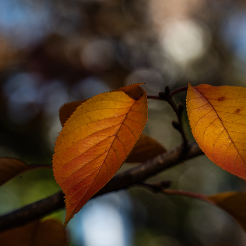 Photo #14083468