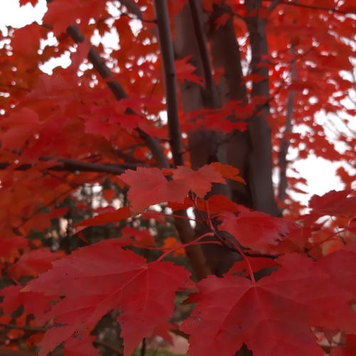 Photo #14083493