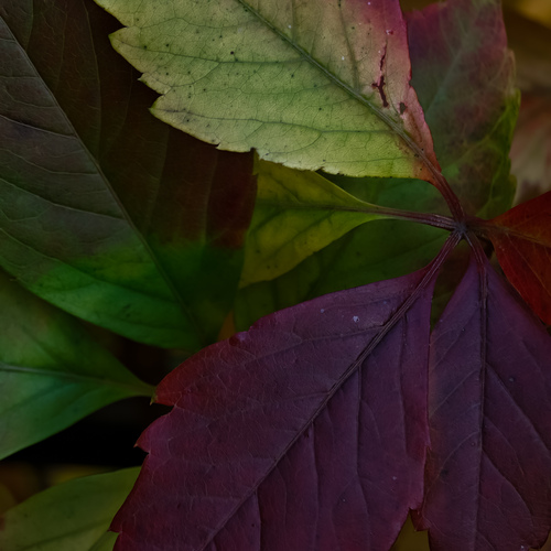 Photo #14083496