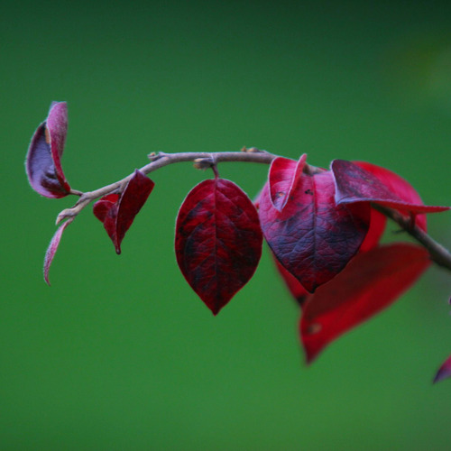 Photo #14083511