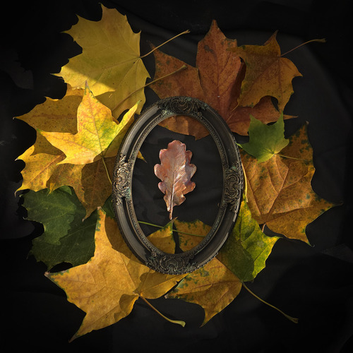 Photo #14083524