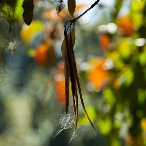 Photo #14083525