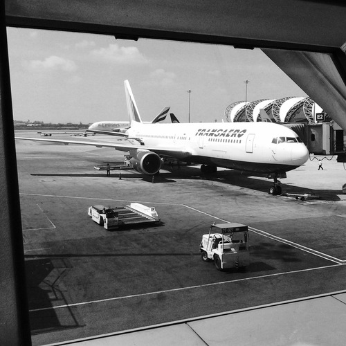 Photo #14083535