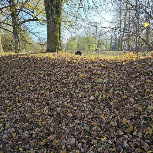 Photo #14083579
