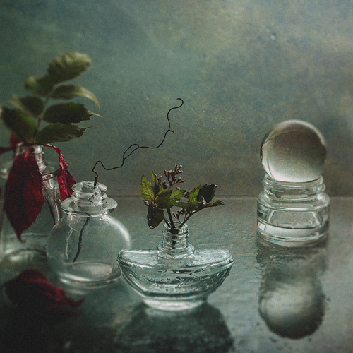 Photo #14083603