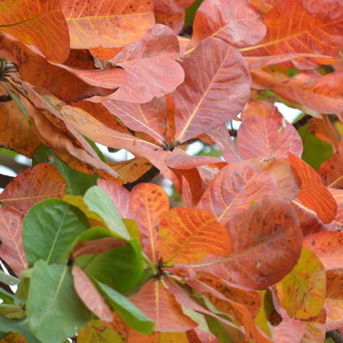 Photo #14083605