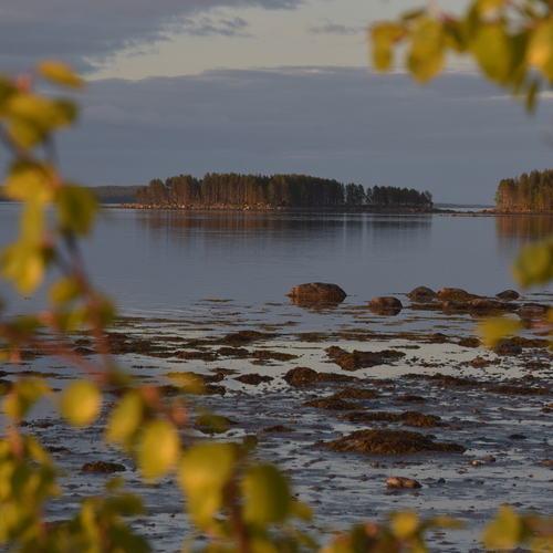 Photo #14083609