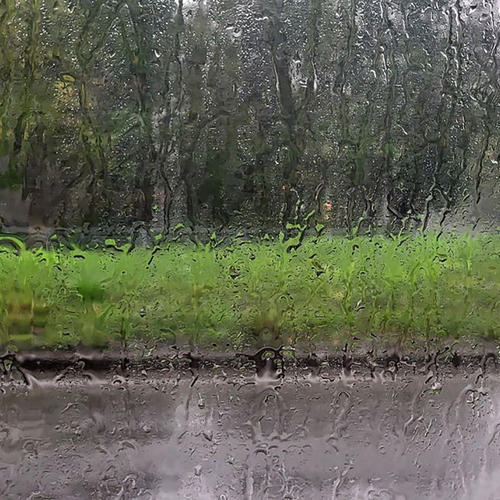 Photo #14083624