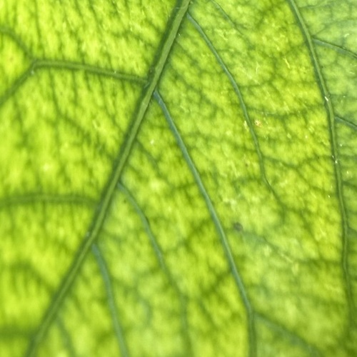 Photo #14083649