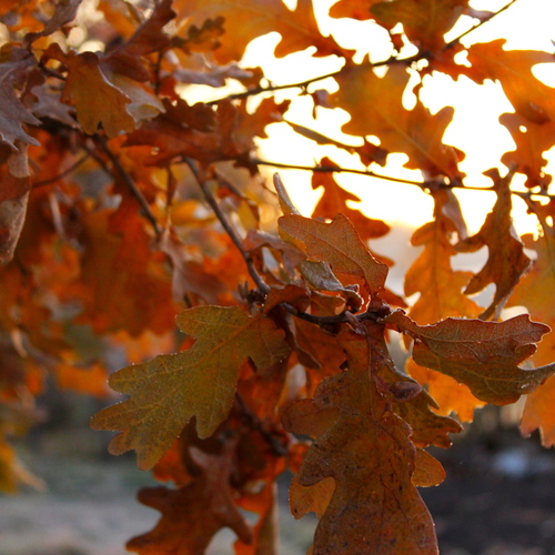 Photo #14083666