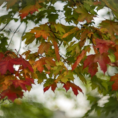 Photo #14083695
