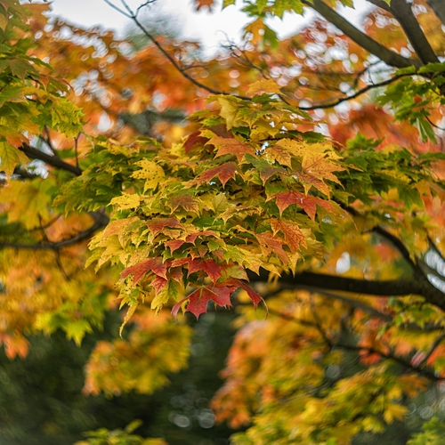 Photo #14083696