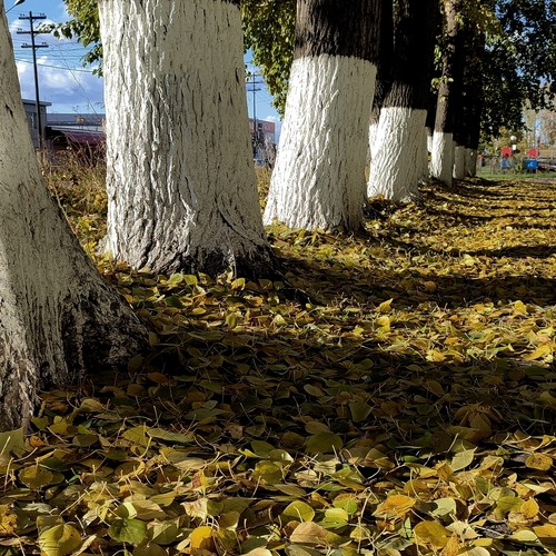 Photo #14083718