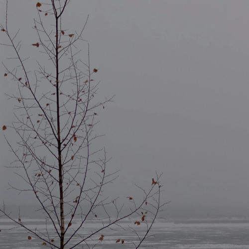 Photo #14083719