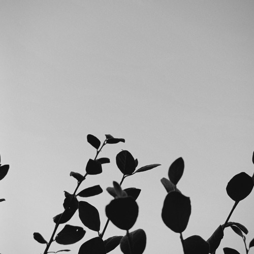 Photo #14083724