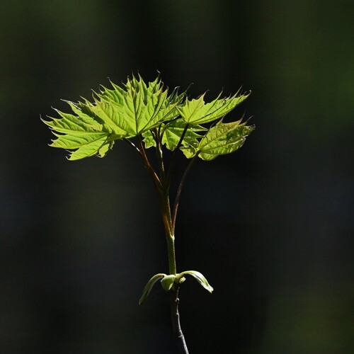 Photo #14083759
