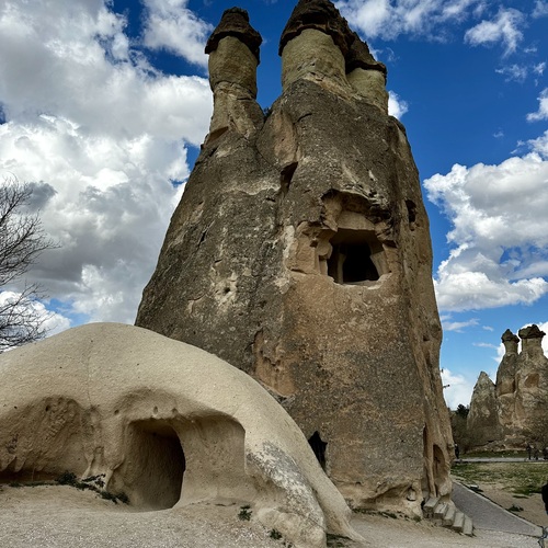 Photo #14083777