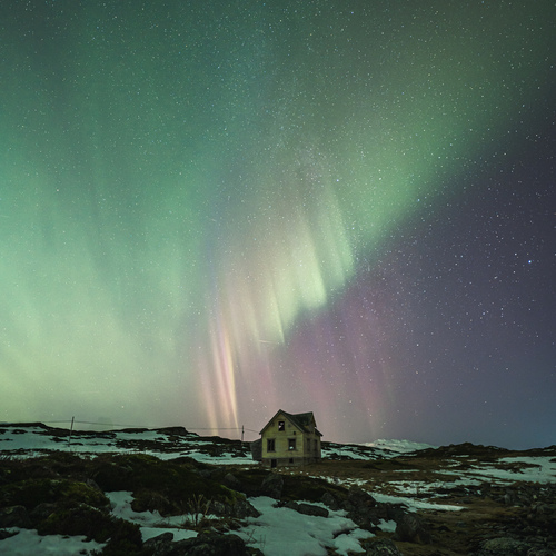 Photo #14083779