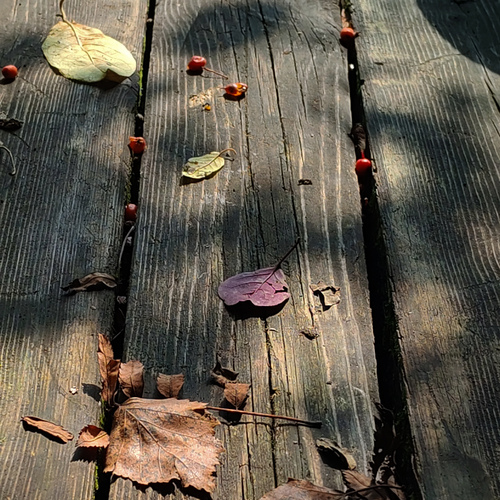 Photo #14083805