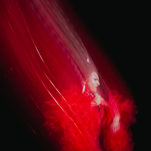 Photo #14083808