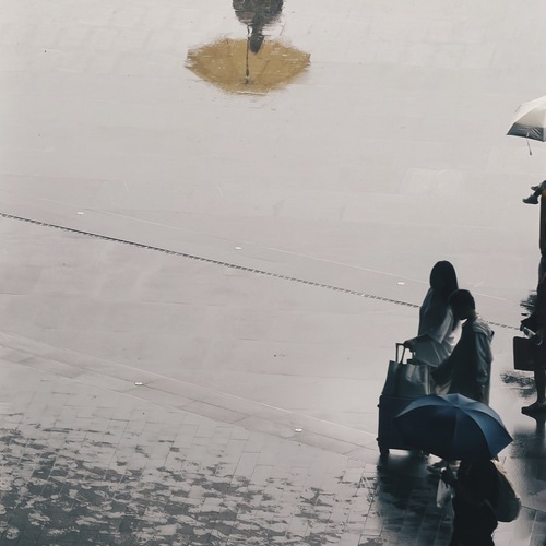 Photo #14083811