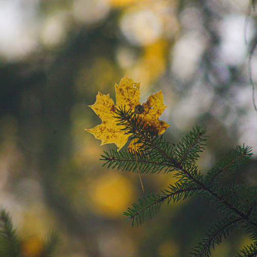 Photo #14083817