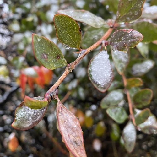Photo #14083832