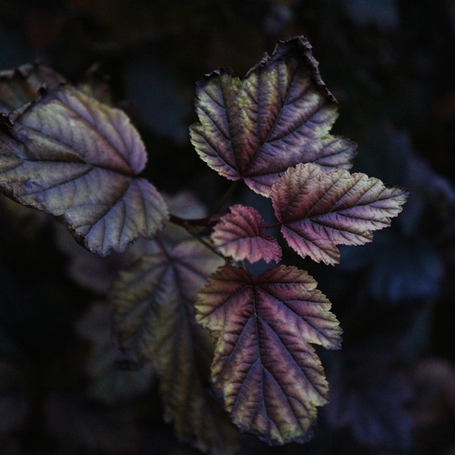 Photo #14083839