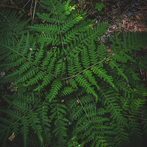 Photo #14083851