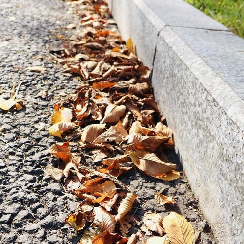 Photo #14083852