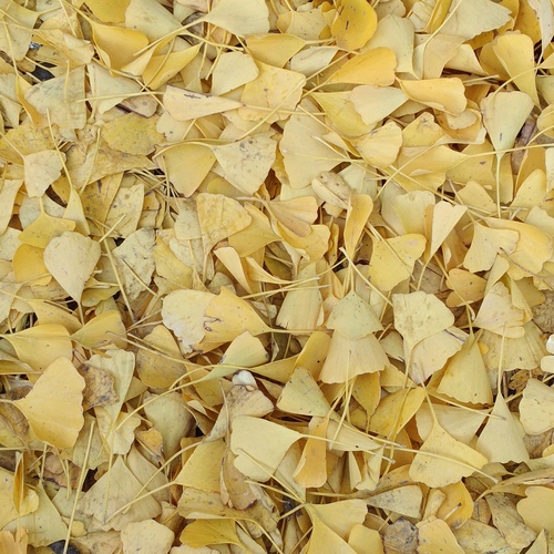 Photo #14083854