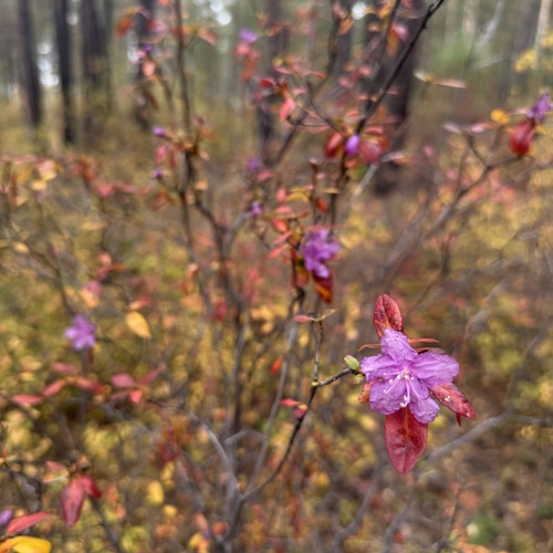 Photo #14083904