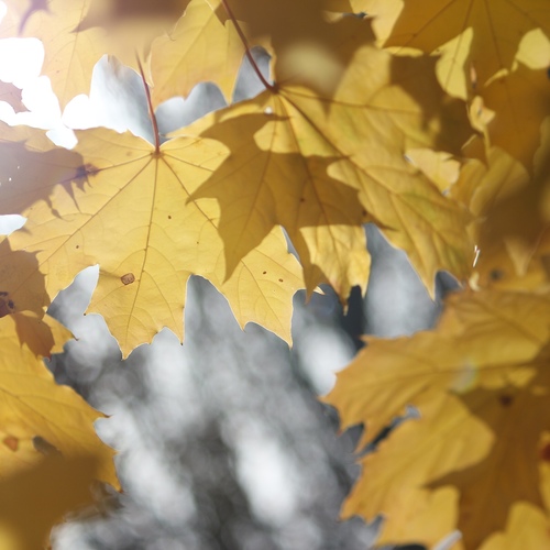 Photo #14083936