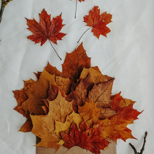 Photo #14083947