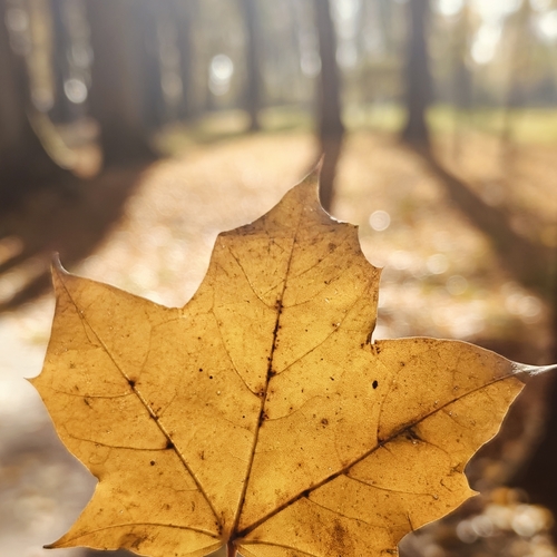 Photo #14083984