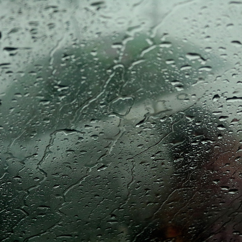 Photo #14083988