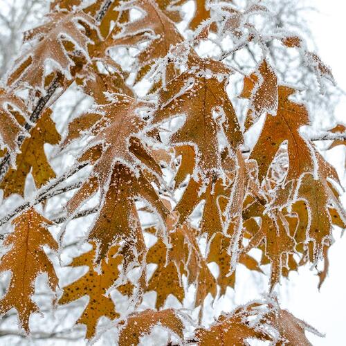 Photo #14084004