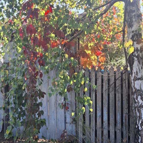 Photo #14084024